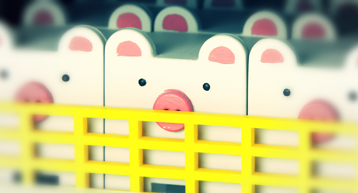 Pigs Treated