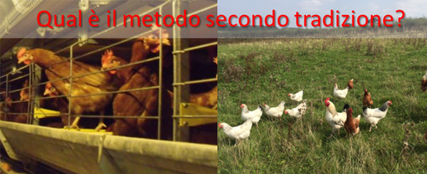 metodo secondo tradizione.png