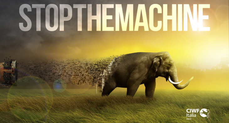 Elephant_ITA.jpg