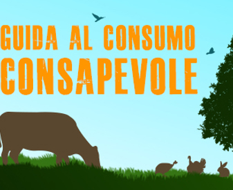 Cover-ciwf-GC17-sito-pagina-interna.jpg