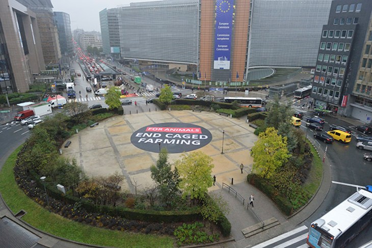 immagine dall'alto del banner end the cage age a Bruxelles