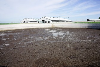 Empty Outdoor Enclosure On An Intensive Farm