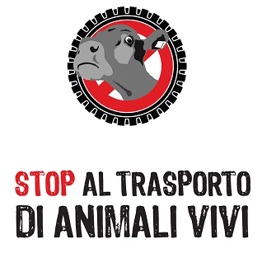 No Trasporti