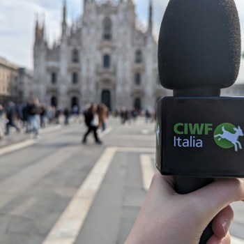 Lo chiediamo a voi: l'allevamento intensivo è nocivo per la salute?