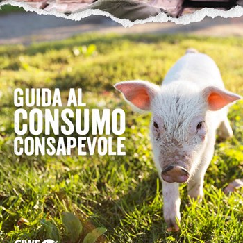 3. La nostra guida al consumo